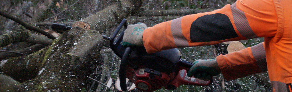 baumfaellungen-und-grundstuecksrodung